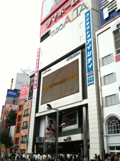 f0181924_1341049.jpg