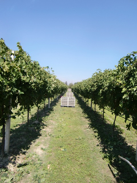 d0166725_14255448.jpg