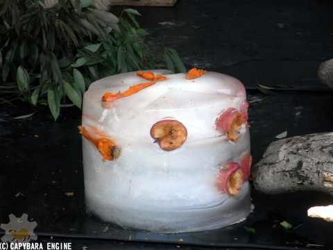 f0138828_20375119.jpg