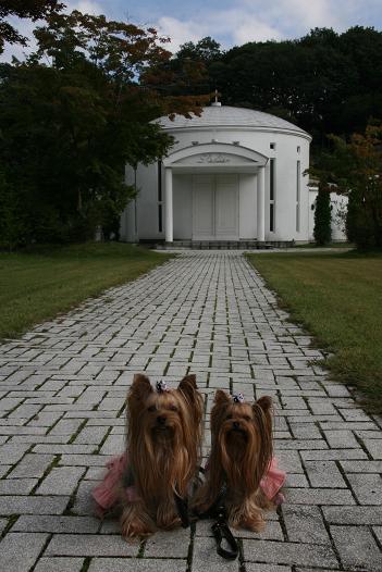 f0124830_283547.jpg