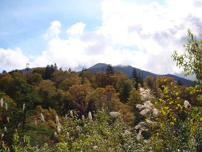 c0206739_2156401.jpg