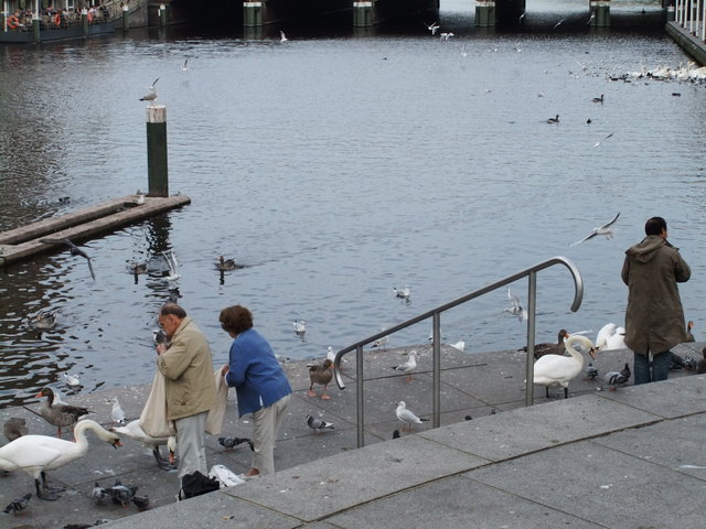 f0210340_3283298.jpg
