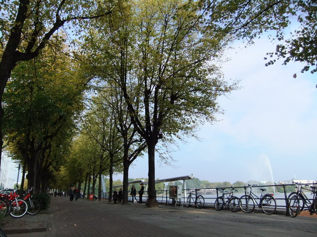 f0210340_3352726.jpg