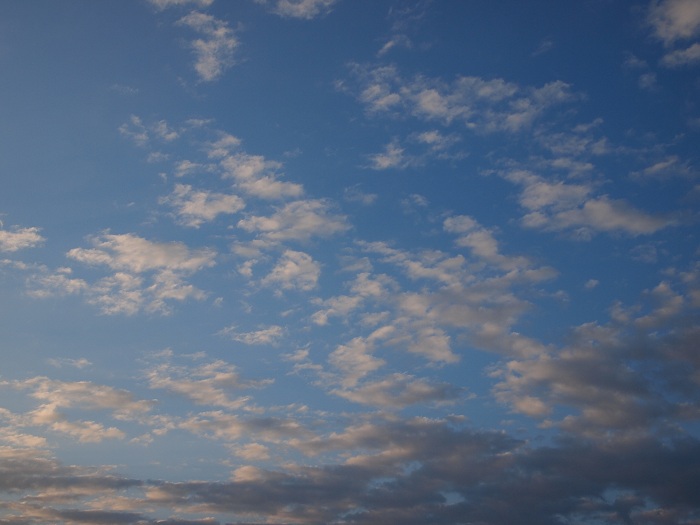 a0146442_7332877.jpg