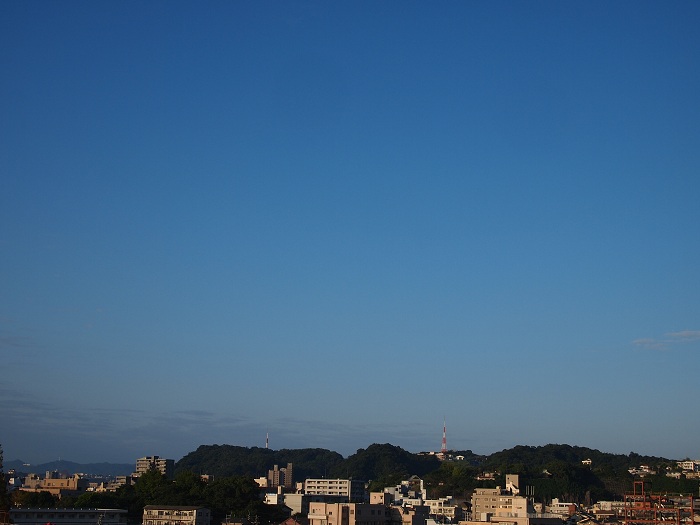 a0146442_73458.jpg