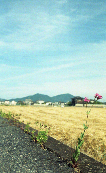 e0136745_18141162.jpg