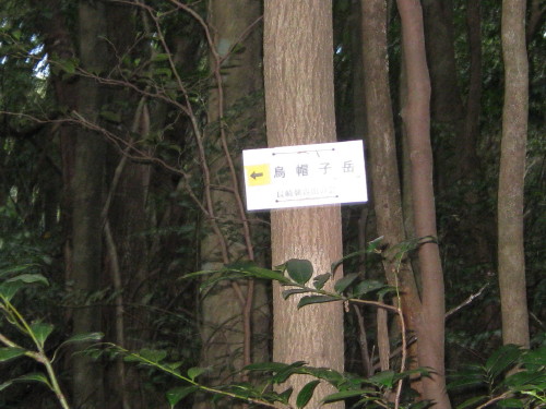 c0179351_2014384.jpg