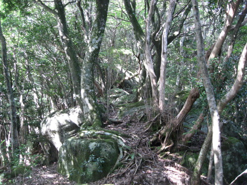 c0179351_20404423.jpg