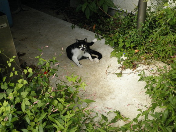 f0201157_1245483.jpg
