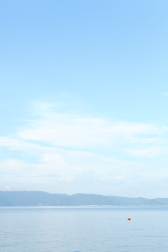 e0175258_1722591.jpg
