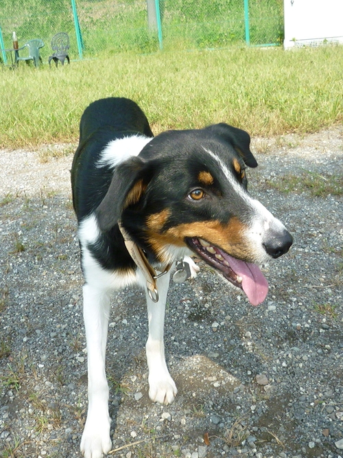 d0093462_20245715.jpg