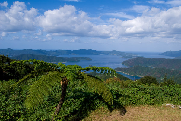 b0062363_19555370.jpg