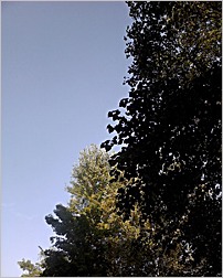 a0050669_416357.jpg