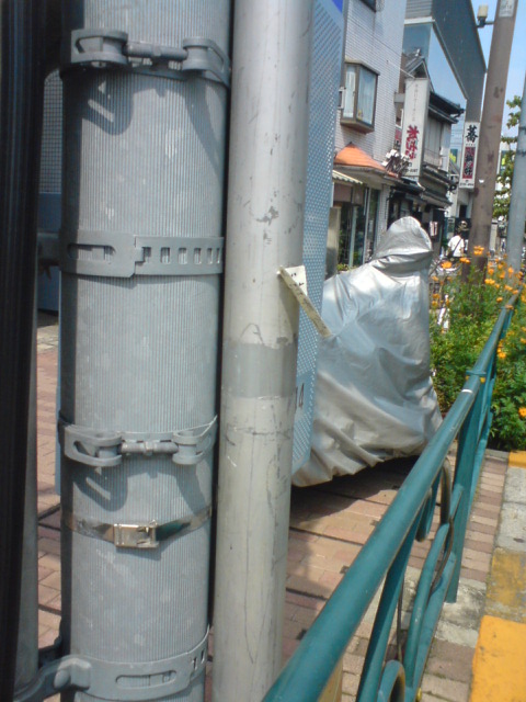 f0096569_7343646.jpg