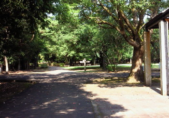 d0161575_1530574.jpg