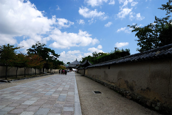 f0108478_20592899.jpg
