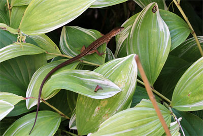 c0152779_19394048.jpg