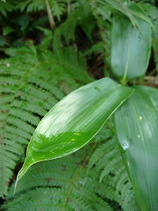 f0171180_20315661.jpg