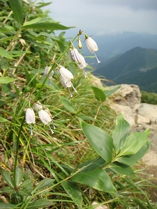 f0171180_2032271.jpg