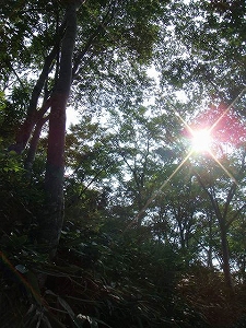 f0171180_2032661.jpg
