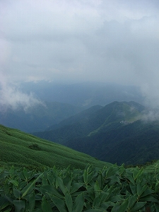 f0171180_20331649.jpg
