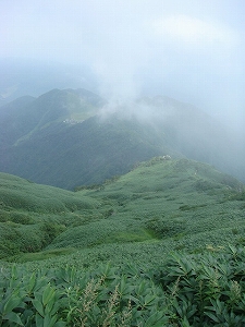 f0171180_2033765.jpg