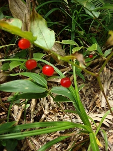 f0171180_20361374.jpg