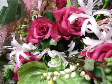 f0039281_22251480.jpg