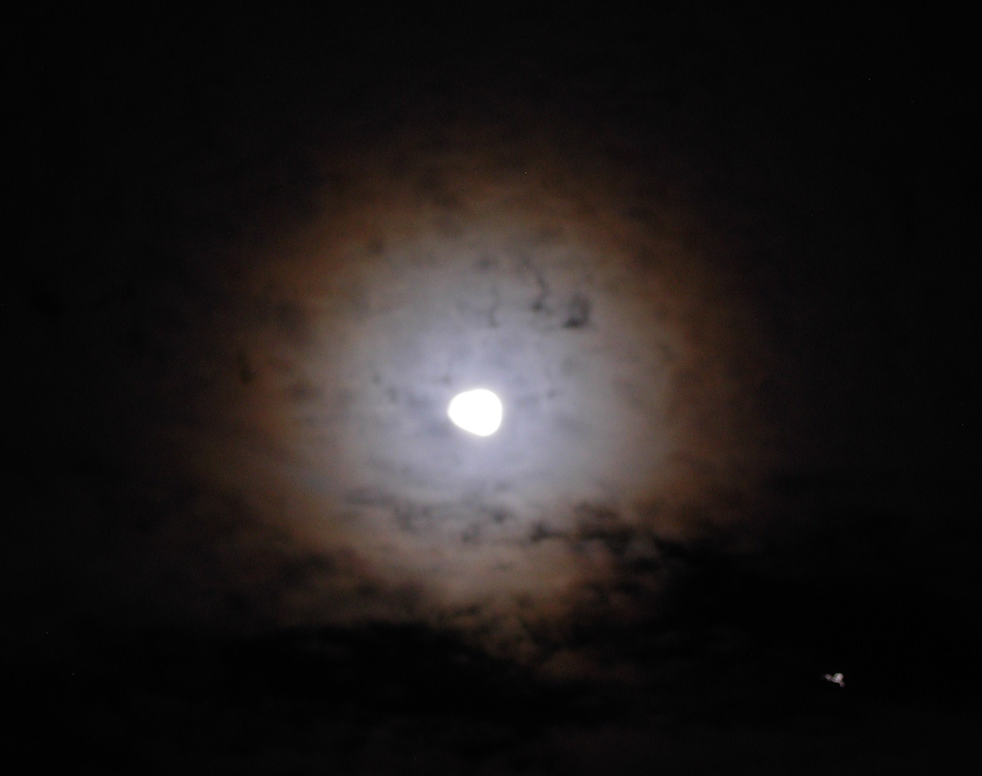 a0133986_1362911.jpg