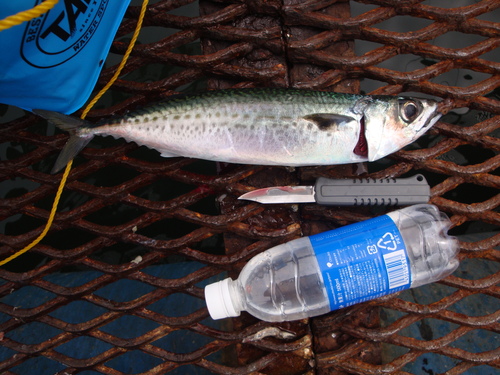 f0191888_11171232.jpg