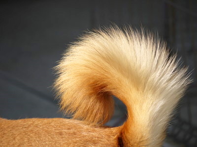 a0133493_10115648.jpg