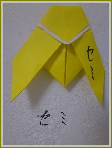b0193400_16382361.jpg