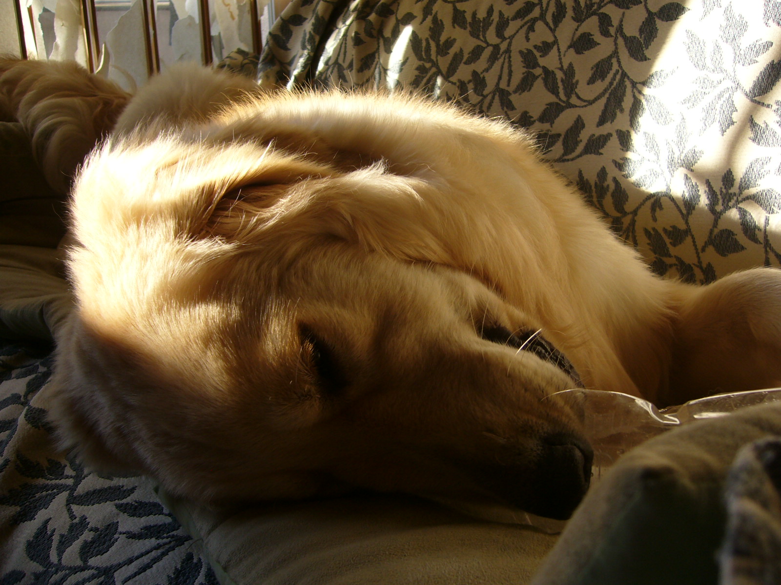 b0206300_16585450.jpg