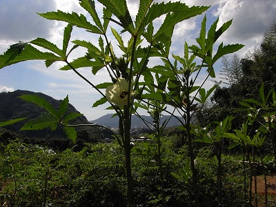 f0187402_22223325.jpg