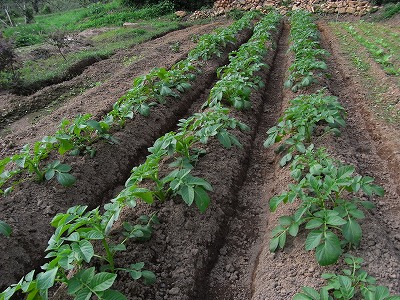 f0187402_22225041.jpg