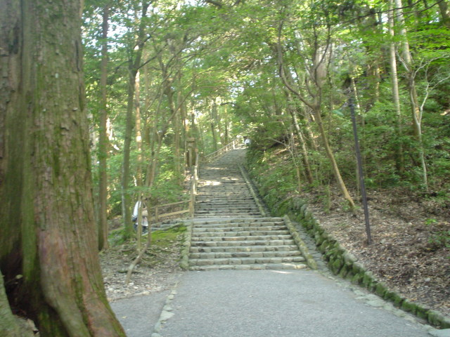 a0116205_2252067.jpg