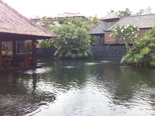 e0180405_840295.jpg