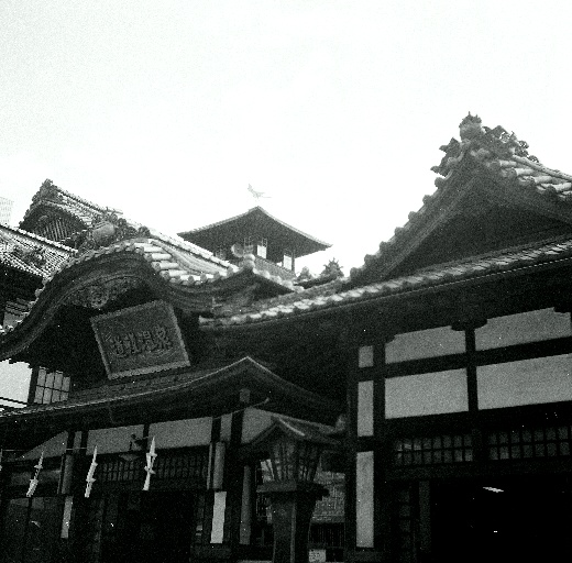 f0177305_328272.jpg