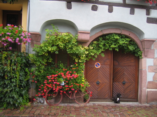 d0135907_5454990.jpg