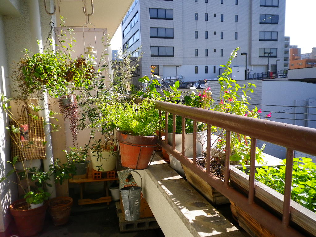 e0197807_9242999.jpg