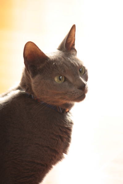 d0001008_839767.jpg