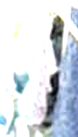 e0103408_1246208.gif