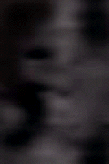 e0103408_12463526.gif