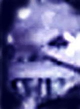 e0103408_12464621.gif