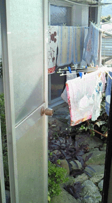 e0103408_124728.gif