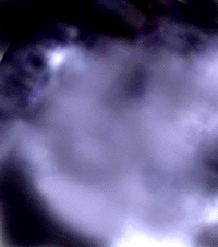 e0103408_7523524.gif