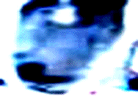 e0103408_863121.gif