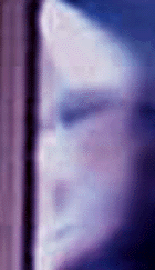 e0103408_865137.gif