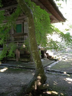 c0190010_21362914.jpg