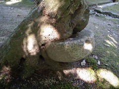 c0190010_21364527.jpg